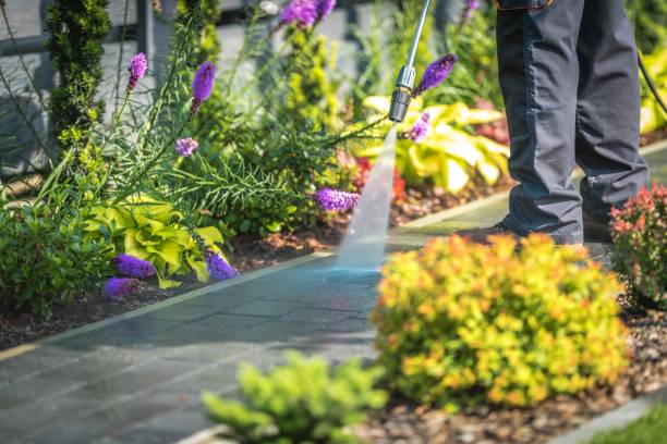 Best Winterizing Services  in Dumas, AR