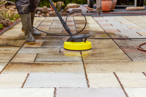 Best Roof Washing  in Dumas, AR